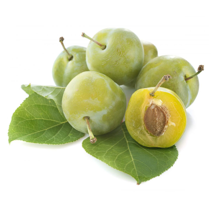 نهال آلوچه مازندرانی (سیتی)